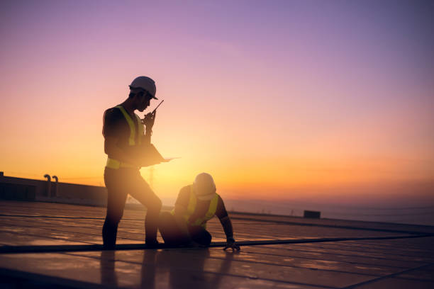 Roof Gutter Cleaning in Alvord, TX