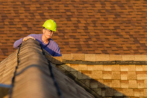 Best Roof Gutter Cleaning  in Alvord, TX
